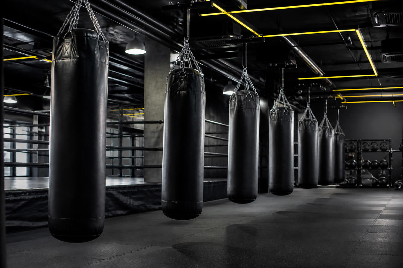 Boxing bags