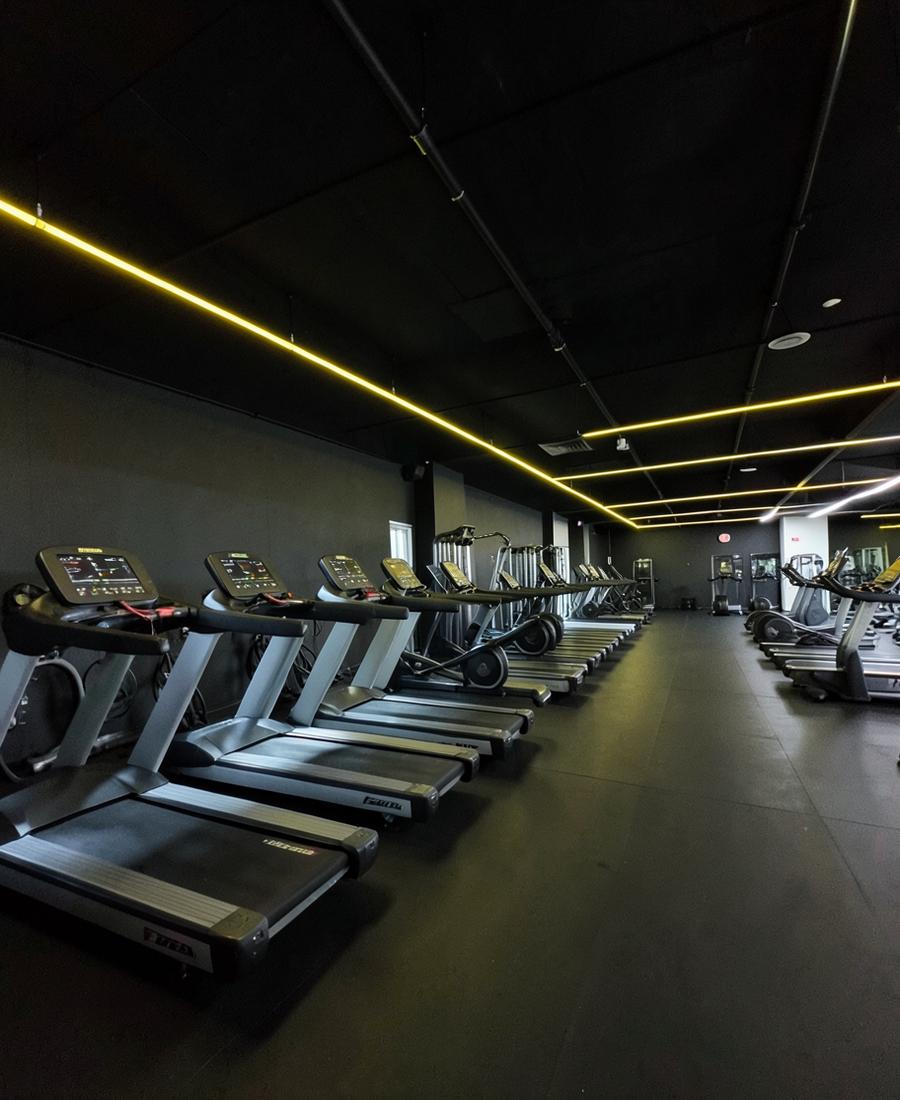 Cardio deck with treadmills